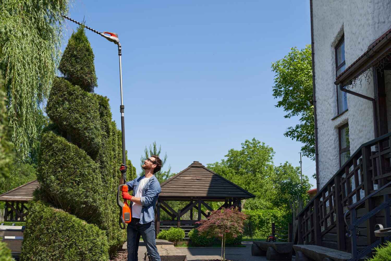 Residential Tree Removal in Hancock, MI